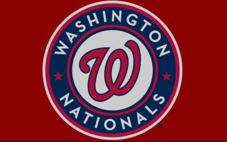 Breaking: Rising Washington Nationals Prospect Overshadowed by Injury