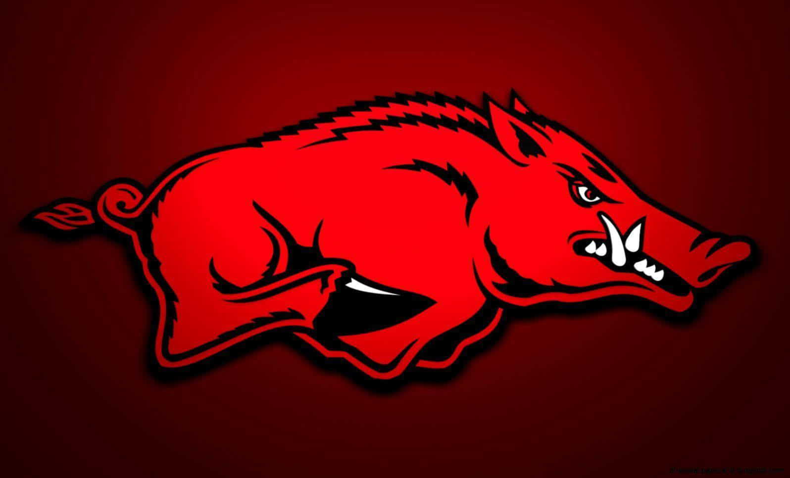 Major Breaking: Razorbacks Lands Home Another Blockbuster Signing Of a Top Star