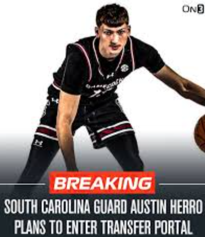 Tyler Herro’s brother has entered the South Carolina basketball transfer portal.