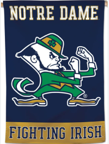 Notre Dame Turns Head With Young Stars Surprisingly Bold Moves